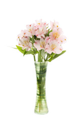 Alstroemeria flowers in a vase