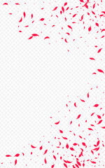 Delicate Lotus Vector Transparent Background.