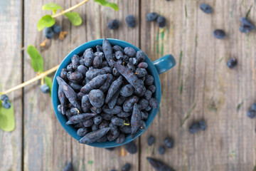 honeysuckle in a blue cup