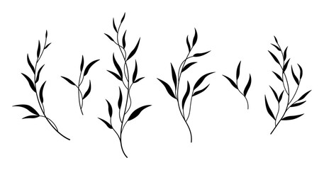 Naklejka premium Minimalist plant elements for wedding decor, invitations, greeting cards, logos, blogs, web, posters. Botanical rustic trendy greenery. Isolated vector illustration