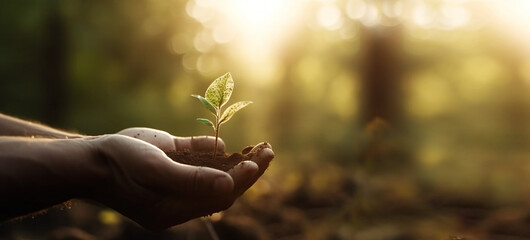 Human hand holding young green plant with sun light backgrounds for eco earth day concept. Generative Ai - 589294376