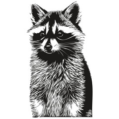 Funny cartoon raccoon, line art illustration ink sketch