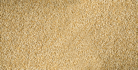 Quinoa Seeds Texture Background, Grains Pattern, Quinoa Seeds Banner with Copy Space