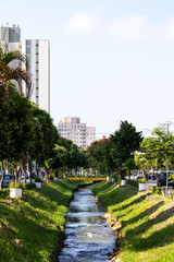 Fototapeta premium park in the city