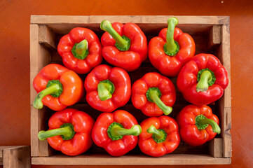 Fresh ripe red sweet bell paprika close up, new harvest
