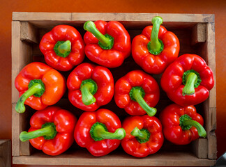 Fresh ripe red sweet bell paprika close up, new harvest