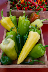 Fresh ripe green, yellow sweet paprika pepper close up