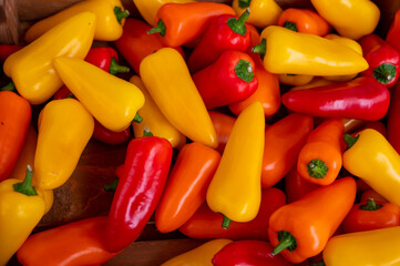 Fresh ripe red, orange, yellow sweet paprika pepper close up