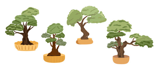 Decorative bonsai trees set in flower pots, domestic plant simple cartoon vector illustration, Japanese traditional culture element in simple flat style