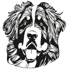 Bernese Mountain dog line art hand drawing vector logo black and white pets illustration