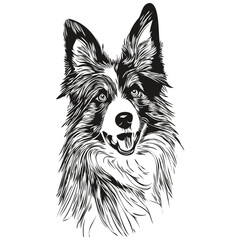 Border Collies dog hand drawn logo drawing black and white line art pets illustration