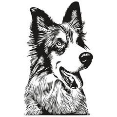 Naklejka premium Border Collies dog hand drawn logo drawing black and white line art pets illustration