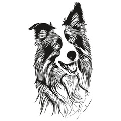 Border Collies dog hand drawn logo drawing black and white line art pets illustration - obrazy, fototapety, plakaty