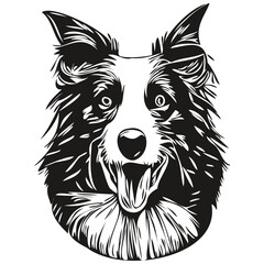 Fototapeta premium Border Collies dog line art hand drawing vector logo black and white pets illustration
