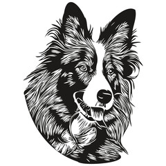 Border Collies dog line art hand drawing vector logo black and white pets illustration