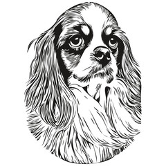 Cavalier King Charles Spaniels dog line art hand drawing vector logo black and white pets illustration