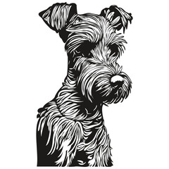 Miniature Schnauzer dog logo hand drawn line art vector drawing black and white pets illustration