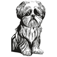 Shih Tzu dog black and white vector logo, line art hand drawn vector pets illustration