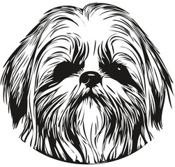 Shih Tzu dog hand drawn logo line art vector drawing black and white pets illustration