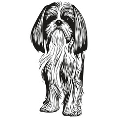 Shih Tzu dog line art hand drawing vector logo black and white pets illustration
