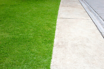 Fresh lawn grass with cement walkway