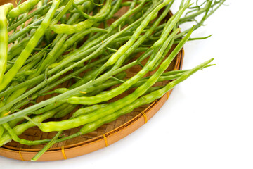 Rat-tailed radish. Fresh organic vegetables