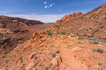 hiking the syncline loop trail in island in the sky district of canyonlands national park, utah, usa