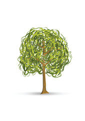 Vector tree drawing on white background