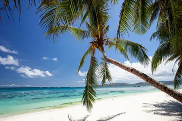 Foto auf Acrylglas Bora Bora, Französisch-Polynesien Pristine beach with palm trees, white sand and turquoise tropical sea. Travel destination