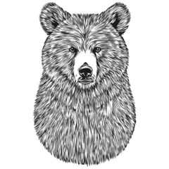 Fototapeten Bear sketches, outline with transparent background, hand drawn illustration bruin © Сергей Тарасюк