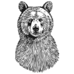 Fototapeten Bear sketchy, graphic portrait of a Bear on a white background, bruin © Сергей Тарасюк