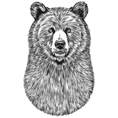 Fototapeten Bear sketchy, graphic portrait of a Bear on a white background, bruin © Сергей Тарасюк