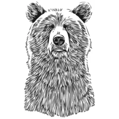 Fototapeten Bear vector illustration line art drawing black and white bruin © Сергей Тарасюк