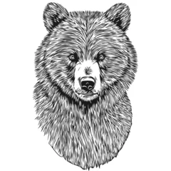Fototapeten Bear vector illustration line art drawing black and white bruin © Сергей Тарасюк