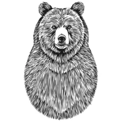 Fototapeten Vintage engrave isolated Bear illustration cut ink sketch bruin © Сергей Тарасюк