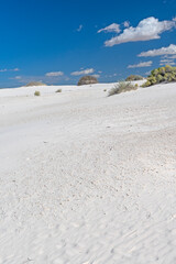 Unblemished White Sands on a Sunny Day