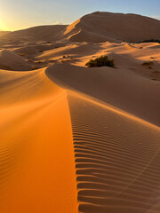 Merzouga, Morocco, Africa, panoramic view of the dunes in the Sahara desert, grains of sand forming...