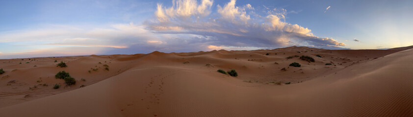 Fototapeta na wymiar Merzouga, Morocco, Africa, panoramic view of the dunes in the Sahara desert, grains of sand forming small waves on the beautiful dunes at sunset 