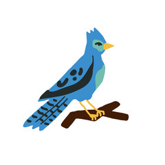 Rare and beautiful blue jaybird sitting calmly on the tree branch. Hand-drawn blue bird vector illustration.