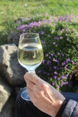 Mann hält ein Glas Weißwein in der Hand. Im Hintergrund ein Steingarten mit blühendem...