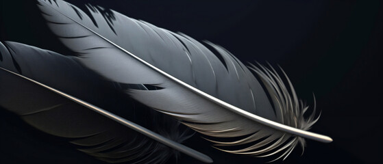 HD Feathers Texture Background