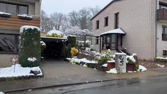 Sudden spring frosts. First spring flowers under snow. Snowfall in early spring in Bramsche, North Rhine Westphalia, Germany on April 1, 2022. High quality 4k footage
