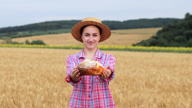 A woman farmer gives organic grain bread on the background of a wheat field. Bread is life.