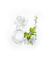 Transparent cup with flowers and green shoot