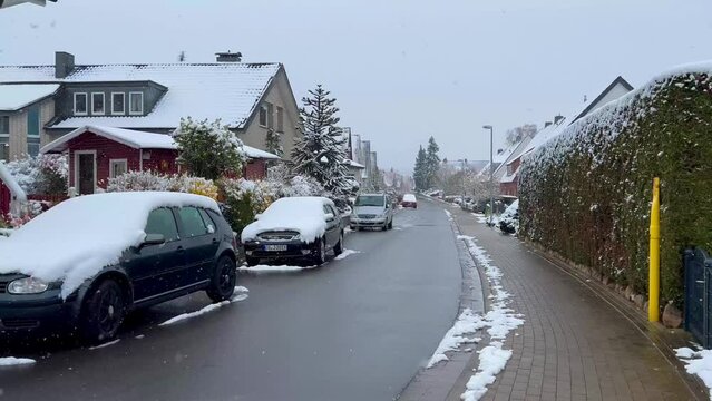 Sudden spring frosts. First spring flowers under snow. Snowfall in early spring in Bramsche, North Rhine Westphalia, Germany on April 1, 2022. High quality 4k footage
