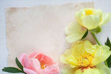 Yellow and pink peonies and vintage paper on a white table, space for text. Background for congratulations, invitations, letters.