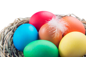 Multi colors Easter eggs in natural nest with hen feather isolated on white background.