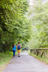 Obraz premium Unrecognizable mixed race mid couple ecotourism hiking in senda del oso, Asturias conservation