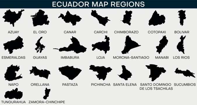 Map Of Ecuador Set Regions Outline Silhouette Vector Illustration
