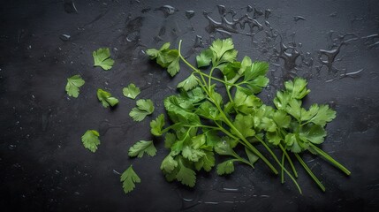 Coriander, cilantro, Chinese parsley or Mexican parsley on black, flat lay, top view, AI generative